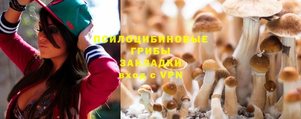 ALPHA PVP Беломорск