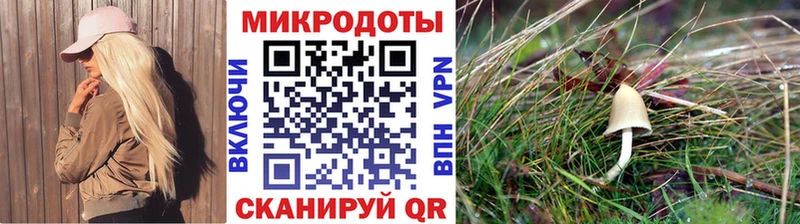 Псилоцибиновые грибы ЛСД  Балабаново 